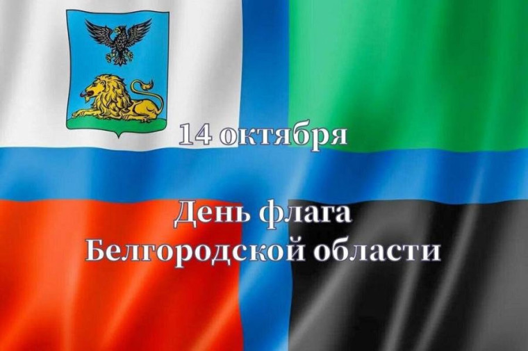 День флага Белгородской области!.