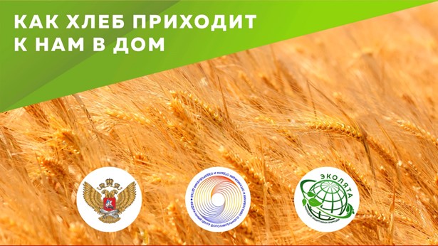 Всероссийский урок Эколят.